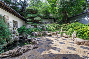 香港植髮：如何選擇靠譜的植髮醫院？